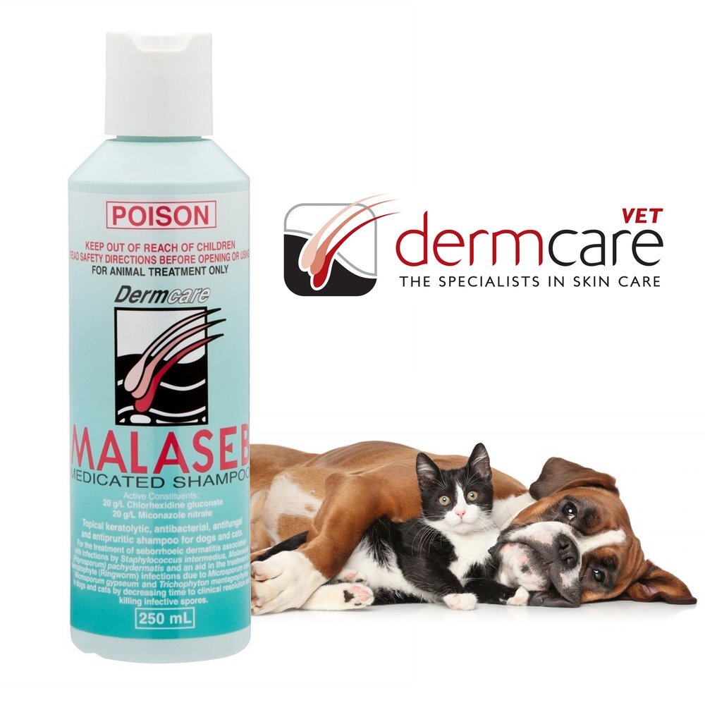 Malaseb Shampoo High Quality Pet Accessories Australia Right Start Pet Food