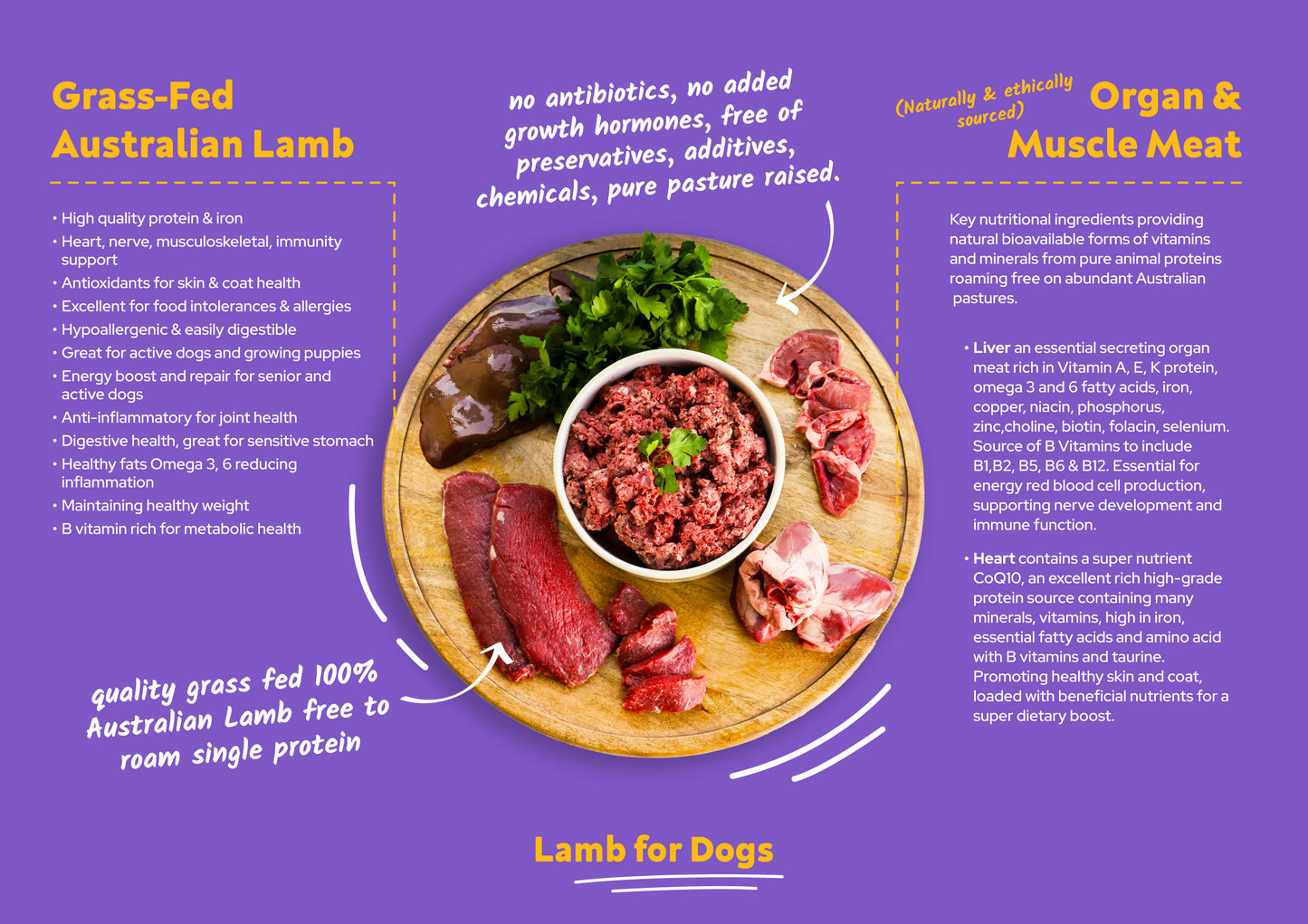 Lamb for Dogs