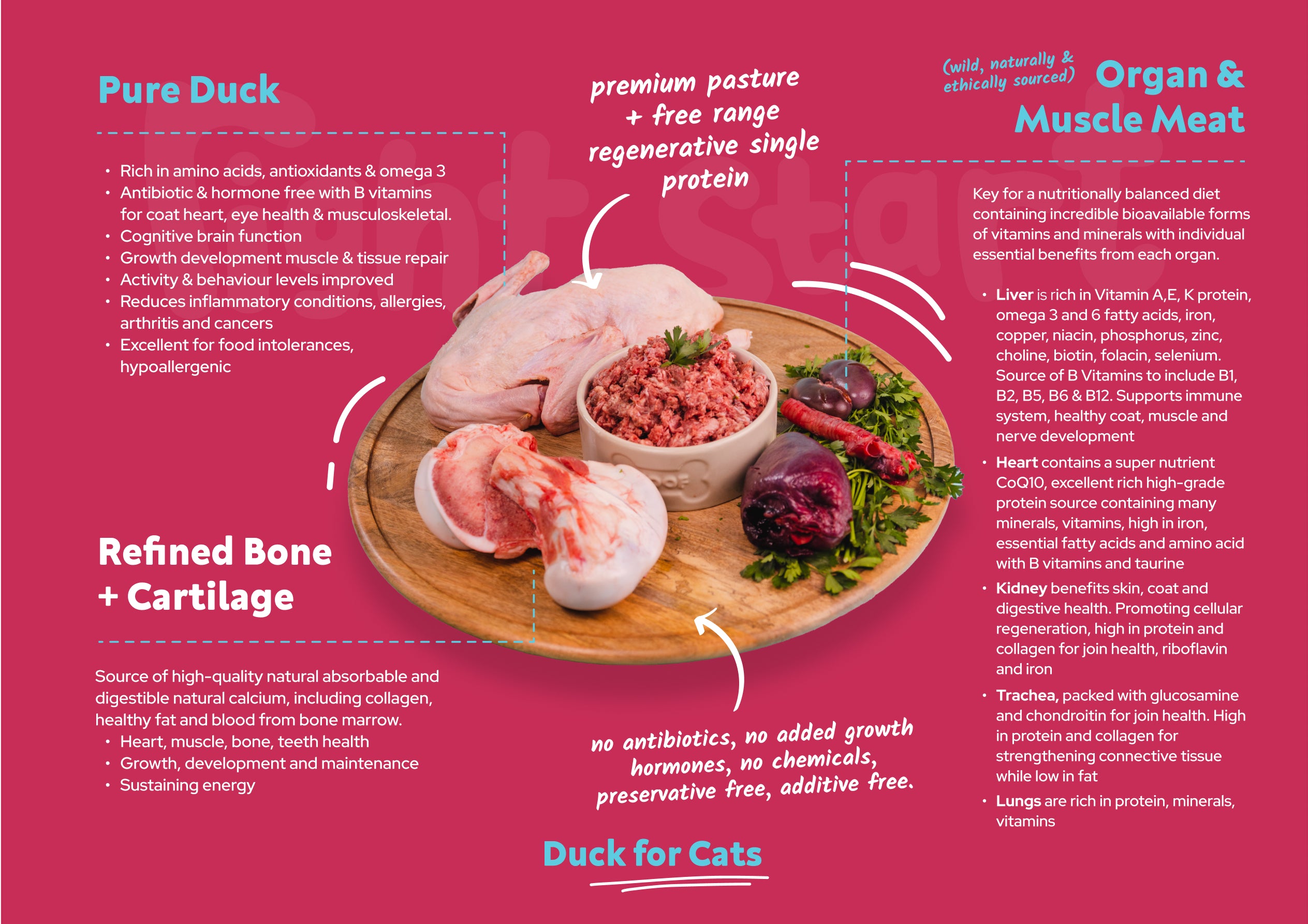 Nutrient Guides Raw Pet Meat Nutritional Information Right Start Pet Food