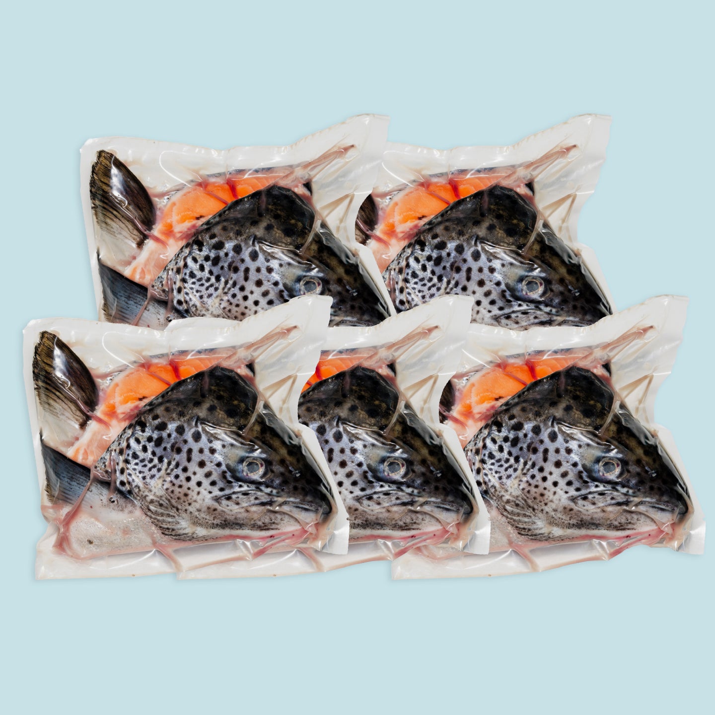 Frozen fish hotsell for dogs